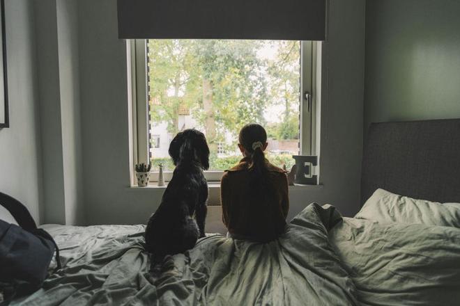 人安全套没人买了情趣用品却卖爆了不朽情缘游戏平台一生含蓄的中国(图6) 人安全套没人买了情趣用品却卖爆了不朽情缘游戏平台一生含蓄的中国(图6)