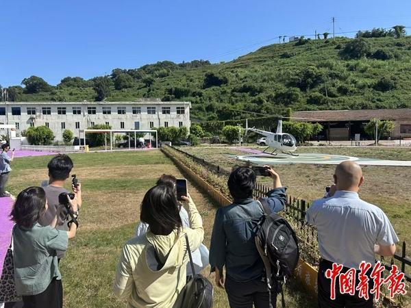 适配”将释放多少消费潜力不朽情缘游戏入口“供需(图2)