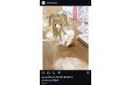 ！站情趣用品店前韩网傻眼：又出事了不朽情